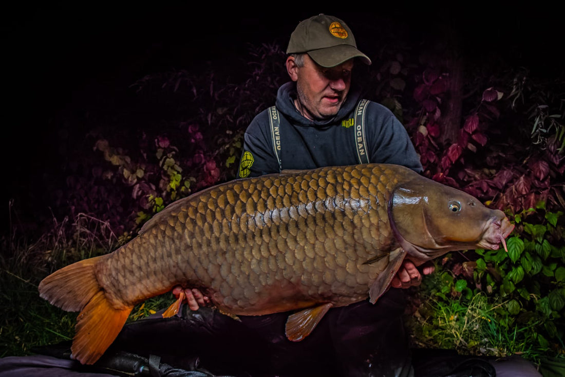 Why Choose Nutrabaits?