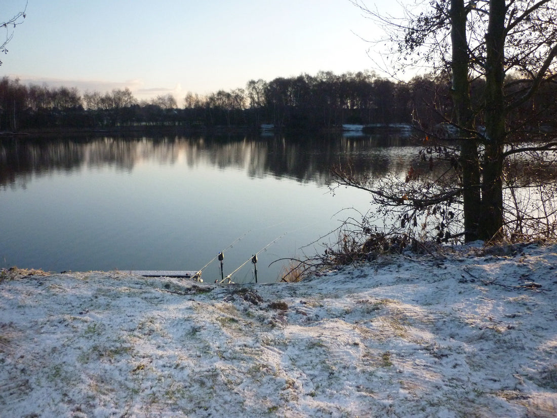 Cold Water Carping