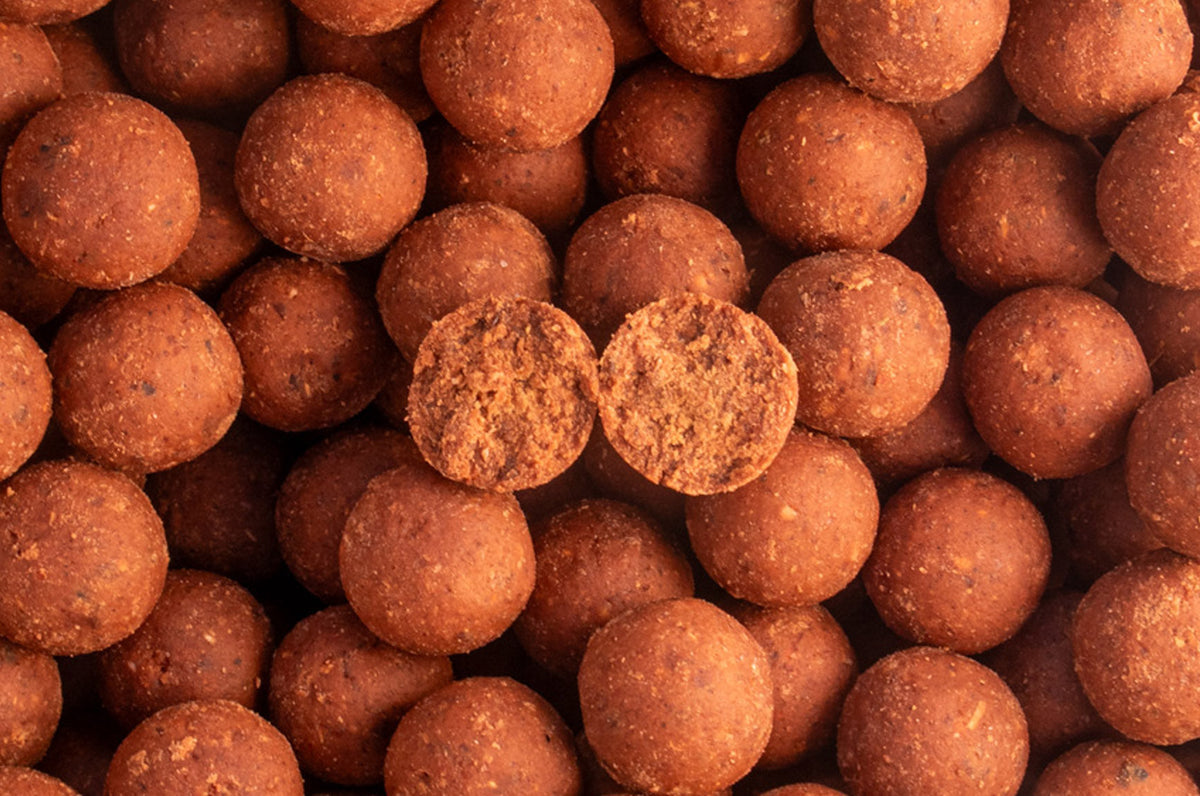 EnerGize Range – A New Generation of Hybrid Bait