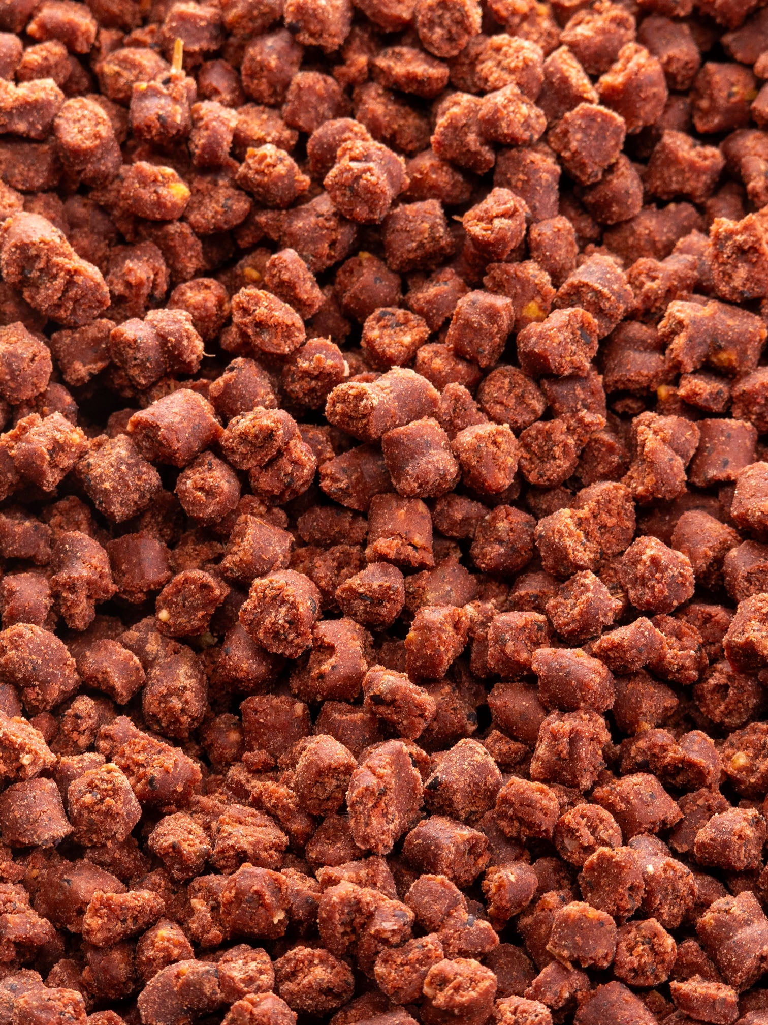Big Fish Mix Boilie Bites