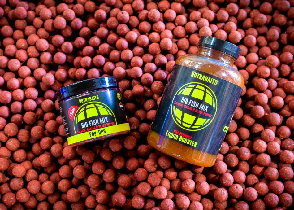 Day Session Mix & Match Bundle