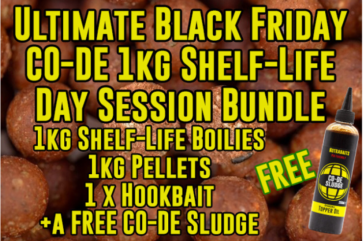 Black Friday Exclusive – CO-DE Day Session Bundle