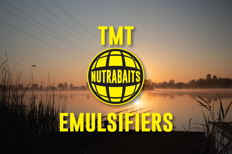 Two Minute Tuesday - Emulsifiers